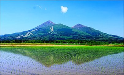 安全と美味しさ